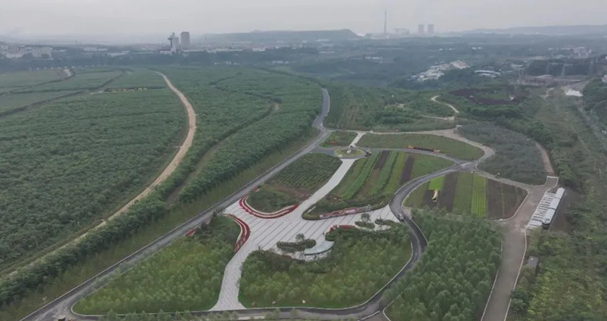 20241030100909074907.png image.png