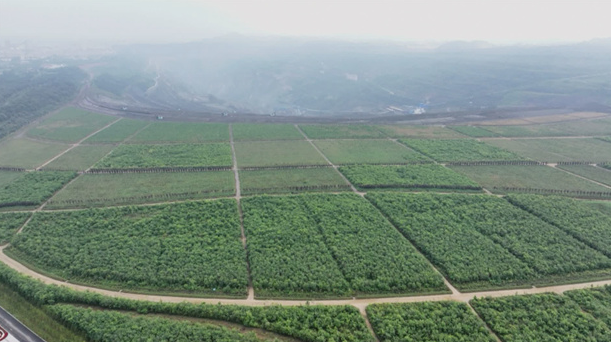 20241104082534098176.png image.png