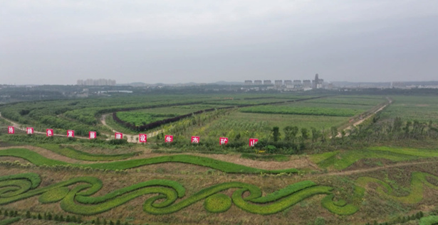 20241104082559025713.png image.png