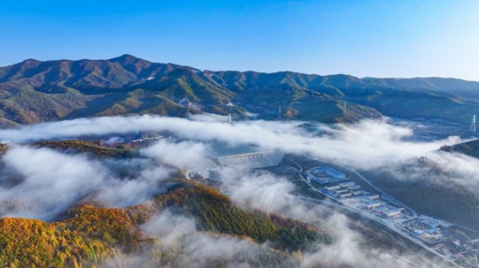 20231220082333022506.png image.png