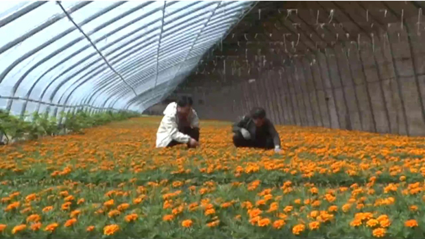 20240102090002084340.png image.png